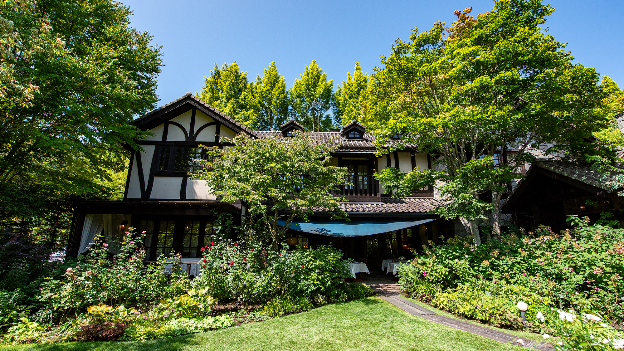 *プライヴェートガーデン/鮮やかな緑にたくさんの種類の花が咲き揃います