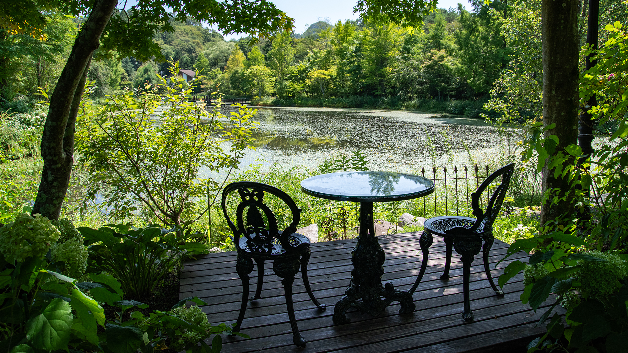*プライヴェートガーデン/鮮やかな緑にたくさんの種類の花が咲き揃います