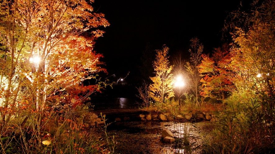 *軽井沢レイクガーデン（秋）/木々の葉も少しずつ色を変え秋の装いに