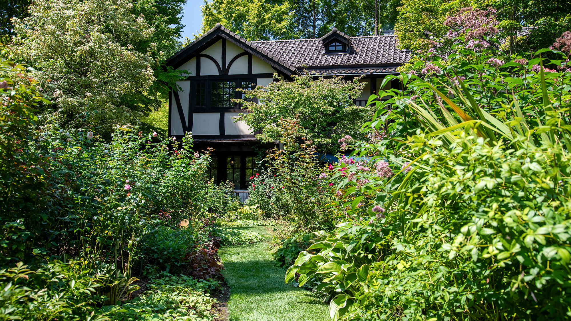 *プライヴェートガーデン/鮮やかな緑にたくさんの種類の花が咲き揃います