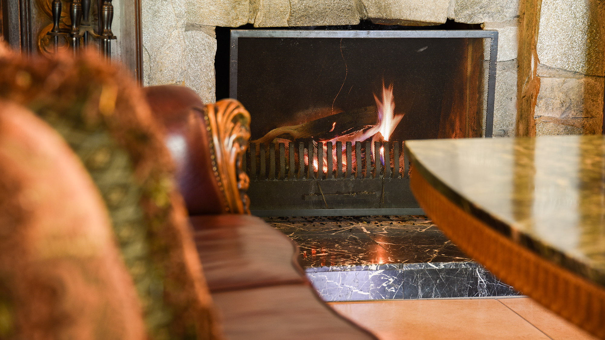 *ラウンジ/プライヴェートガーデンに向かうテラスと暖炉のあるラウンジ