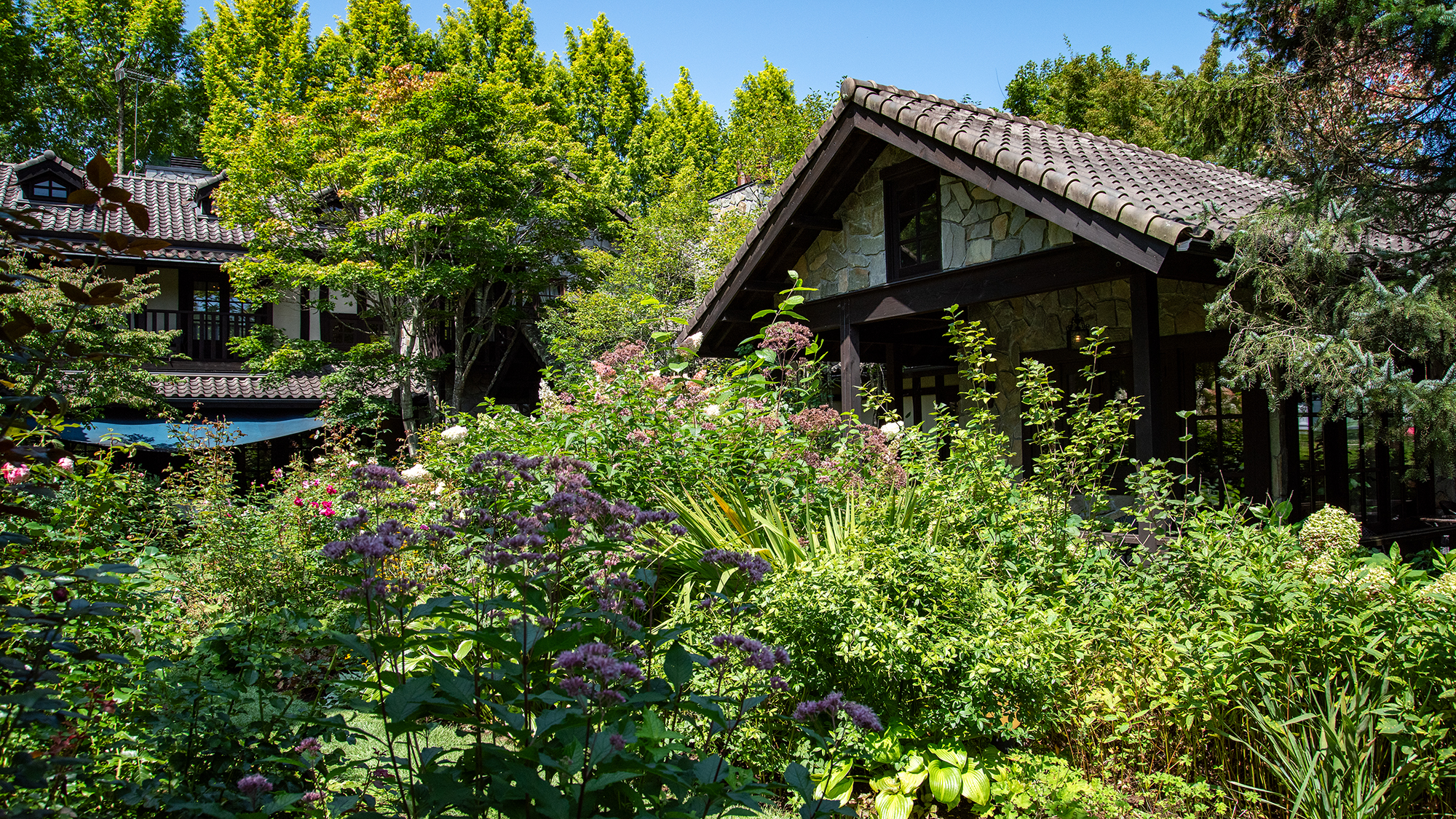 *プライヴェートガーデン/全室ガーデンに面した客室