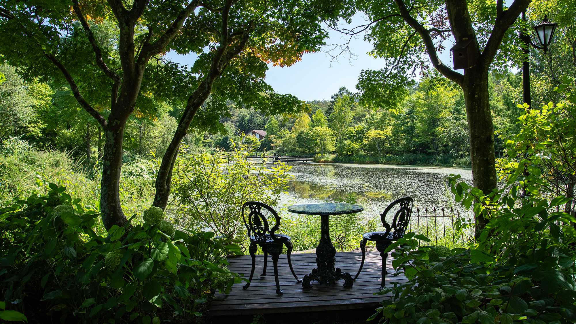 *プライヴェートガーデン/鮮やかな緑にたくさんの種類の花が咲き揃います