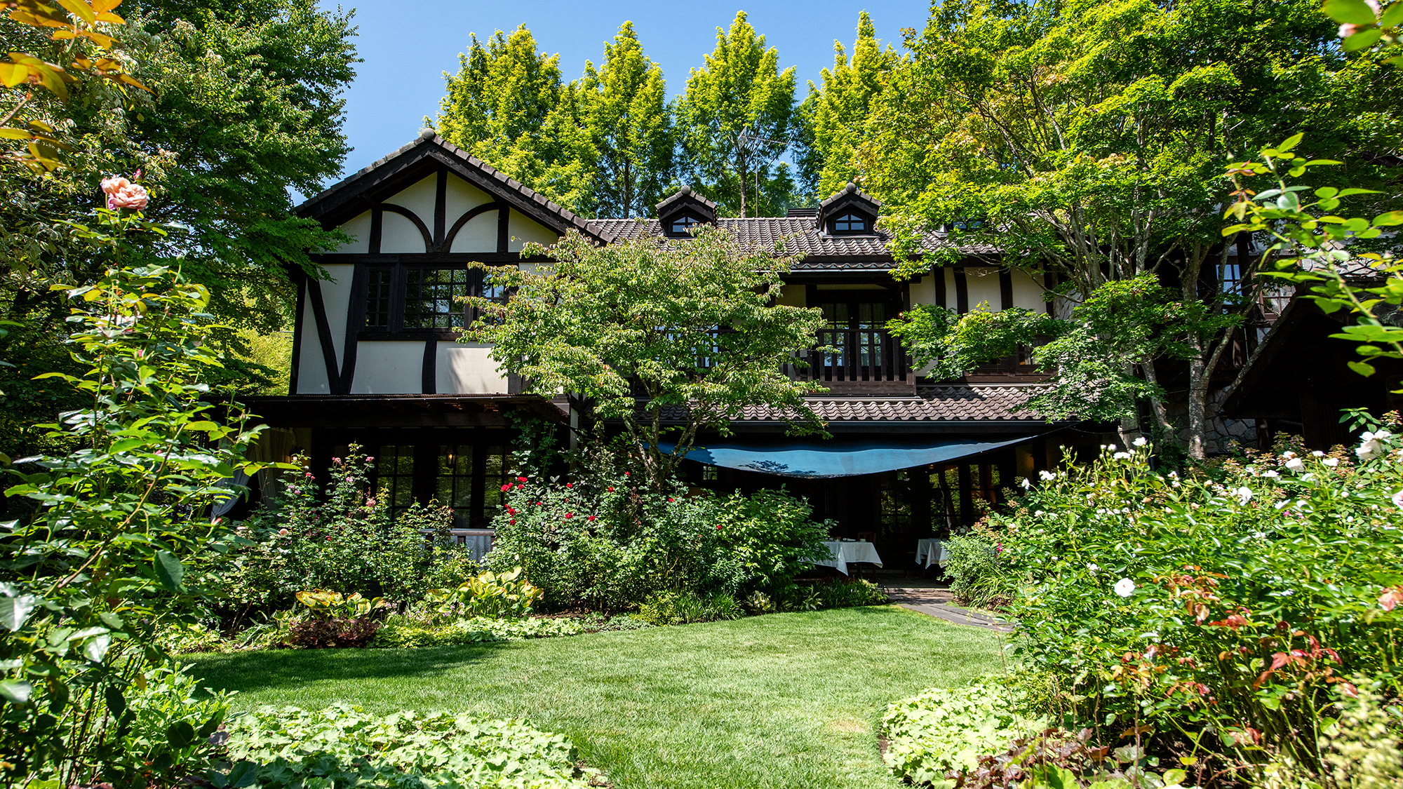 *プライヴェートガーデン/鮮やかな緑にたくさんの種類の花が咲き揃います