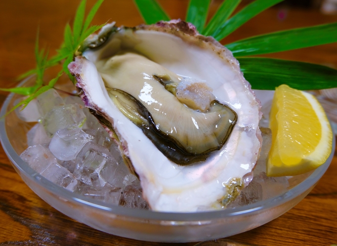 【岩牡蠣】夏の味覚・海のミルクと呼ばれるほど濃厚な岩牡蠣！