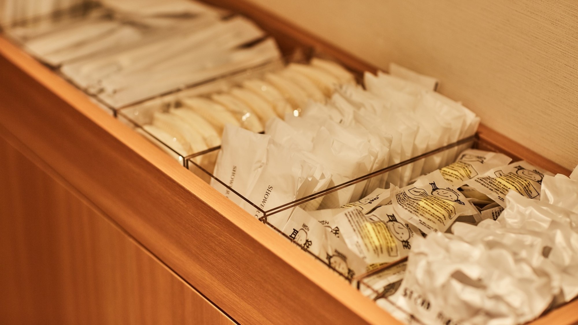 【当日限定】美と健康のホテルでお得にステイプラン（素泊まり）