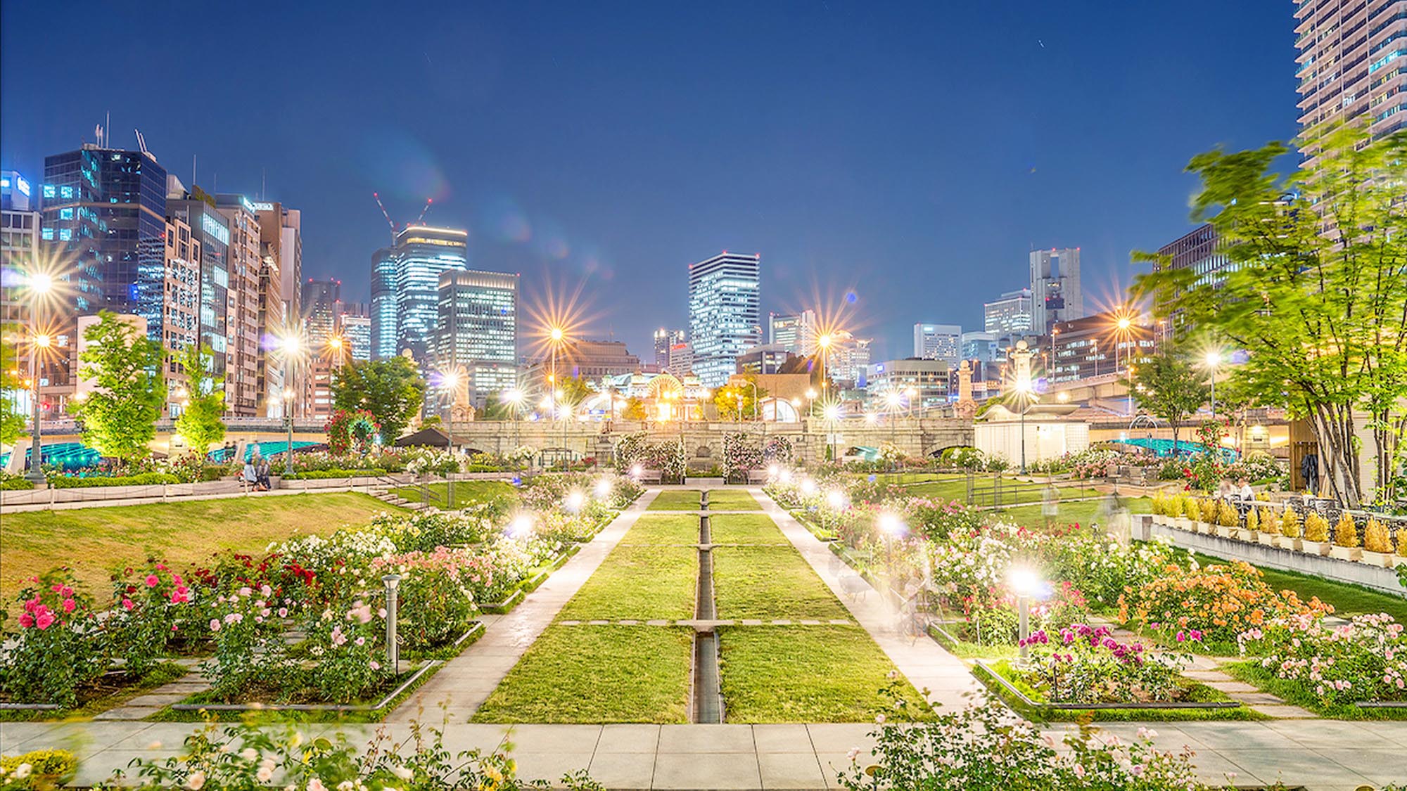 【中之島公園】夜になるとライトアップされ、昼とは違った雰囲気を楽しむことができます。