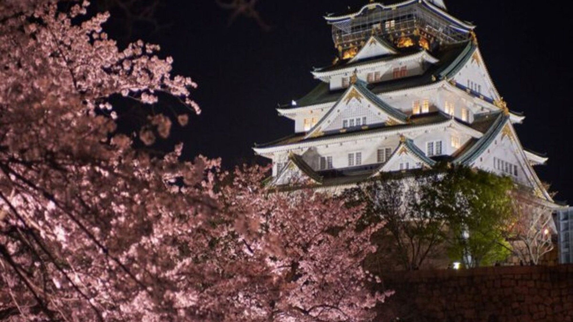 【大阪城】桜の季節はお花見にもぴったり。