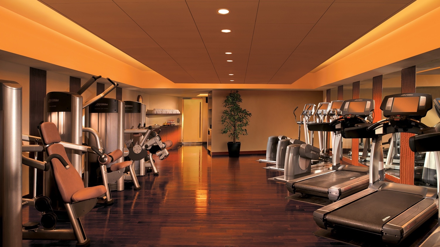 【早割プラン】特別料金でラグジュアリーステイを満喫（お部屋のみ）