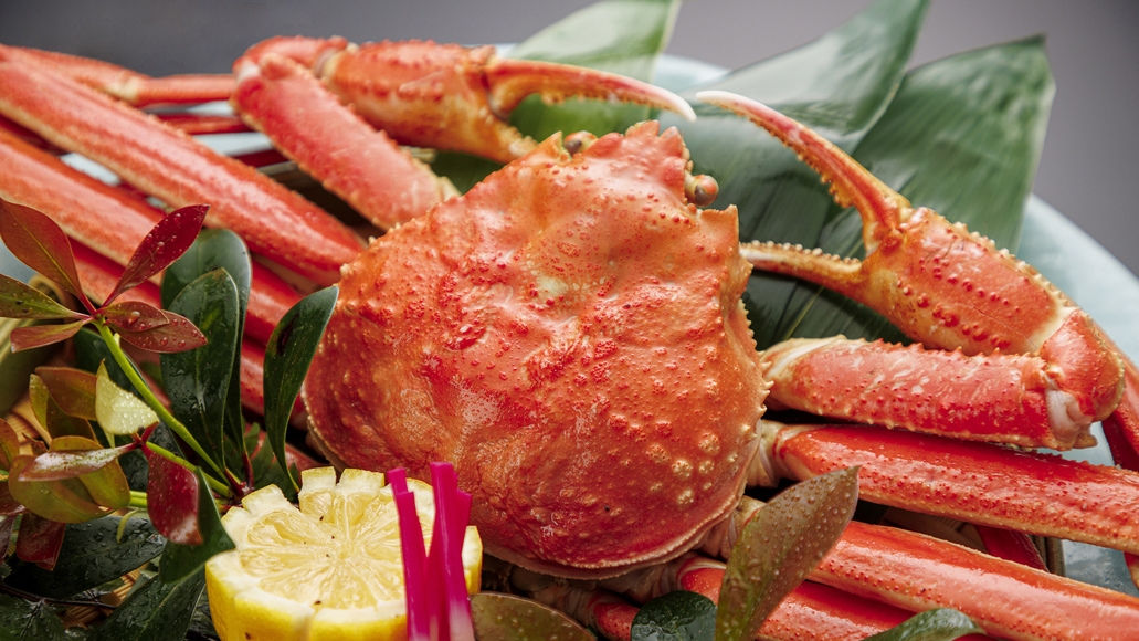 【冬の味覚の王様】本ずわい面付蟹（姿蟹）付き会席プラン