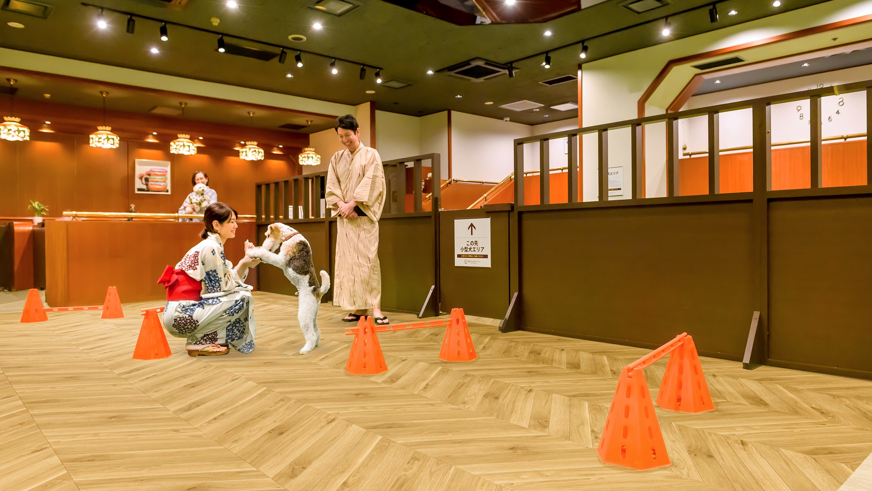 屋内ドッグラン