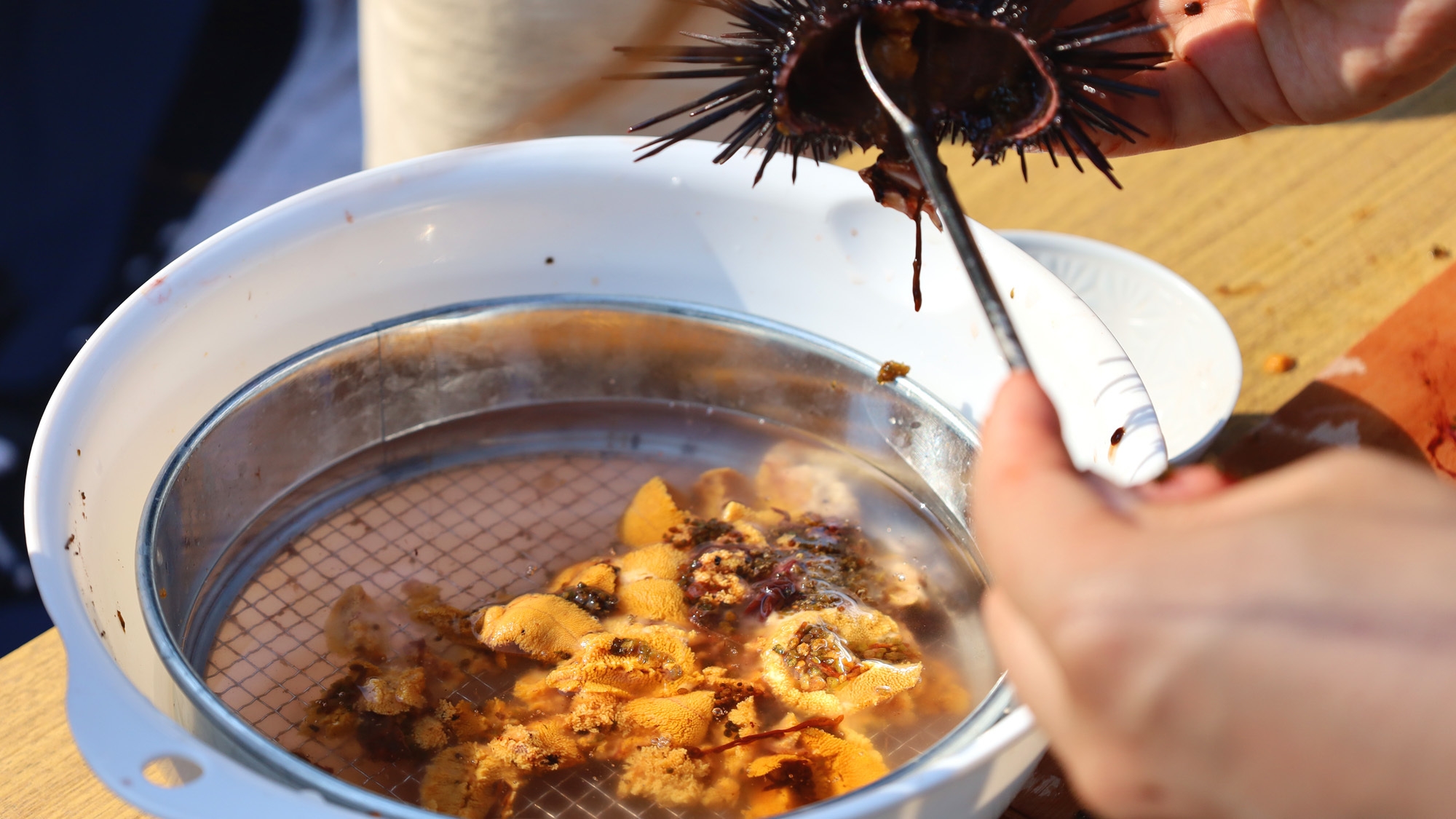 ★期間限定★【朝食付】ウニ好きにはたまらない！地元産天然生ウニ60分剥き放題！食べ放題！※体験料金別
