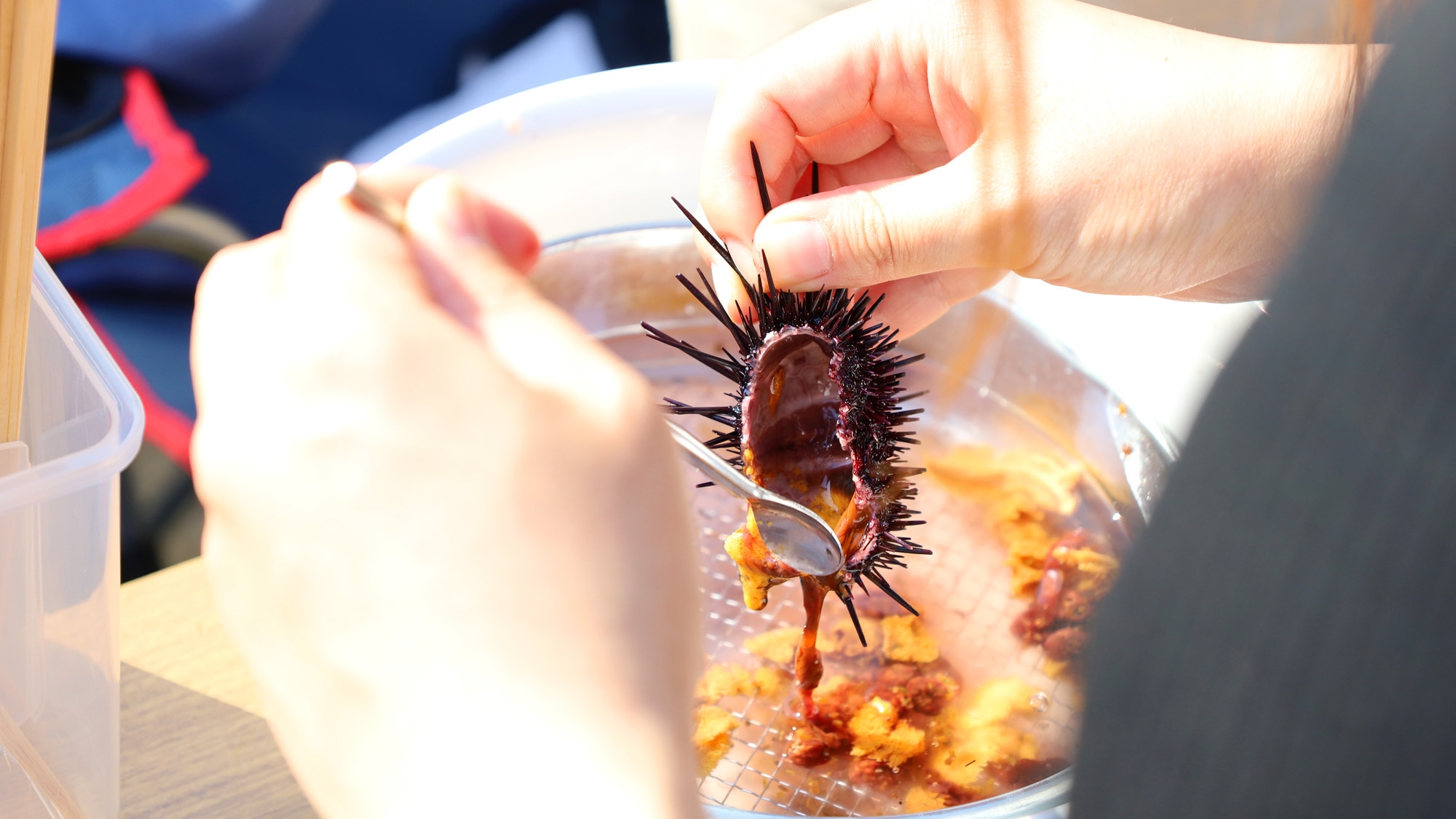 ★期間限定★【BBQ×生うに】地元産天然生ウニ60分剥き放題！食べ放題！！※体験料金別