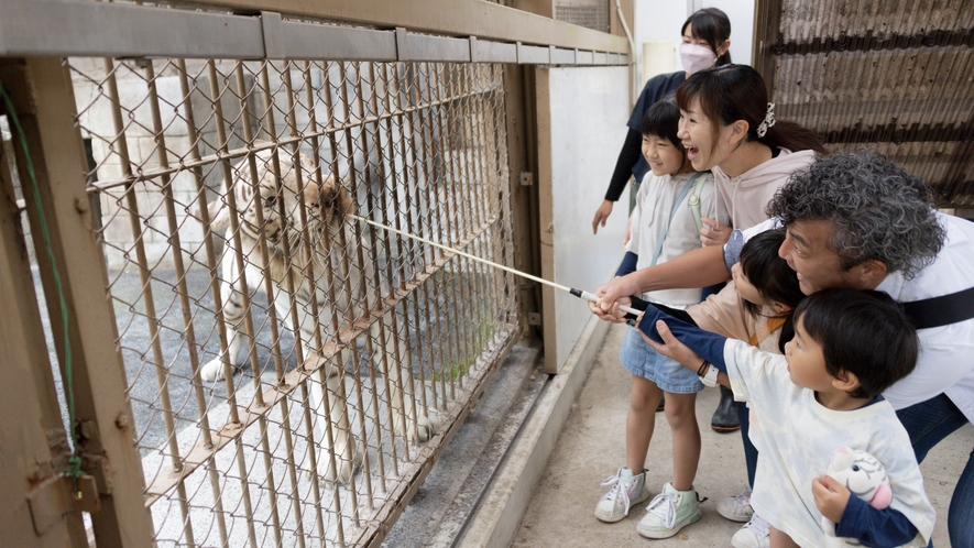 【東武動物公園】動物園と遊園地などが融合したハイブリッドレジャーランドです。　画像提供：東武動物公園