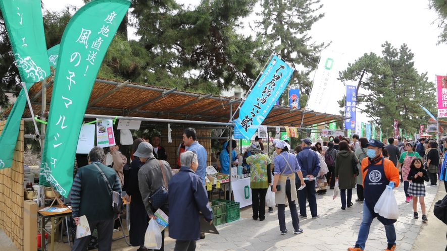 【草加ふささら祭り】草加松原遊歩道とまつばら綾瀬川公園で毎年秋頃に開催されるお祭りです。