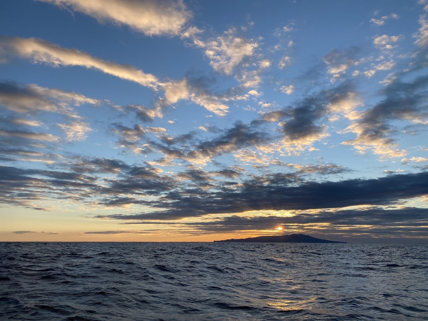 【ライト夕朝食】夜は旬の地魚を堪能。朝はこだわりのお茶漬け♪