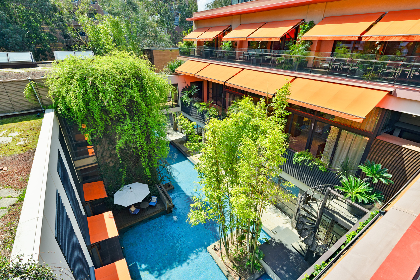 客室からの景色