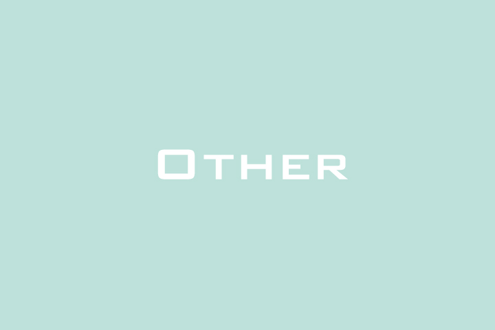 OTHER