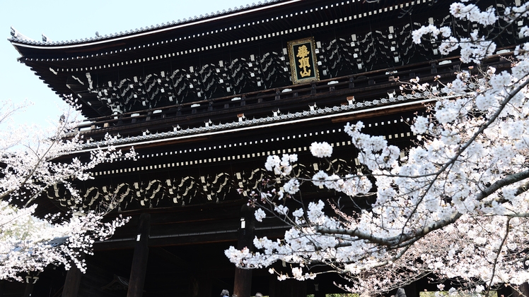 【2食付】本館個室貸切プライベートディナー　＜春爛漫＞春の京都　夜桜プラン（3/25〜4/5限定）