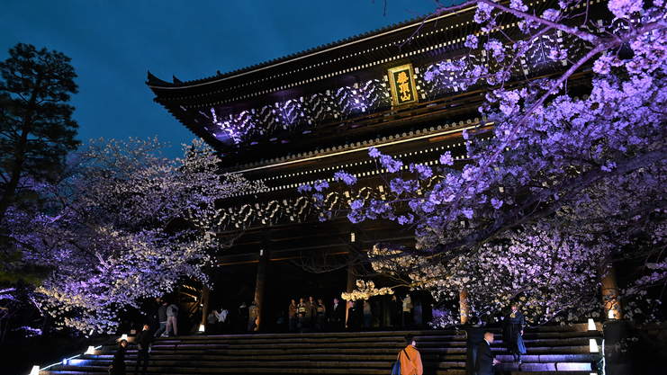 【2食付】＜春爛漫＞春の京都　夜桜プラン（3/25〜4/5限定）