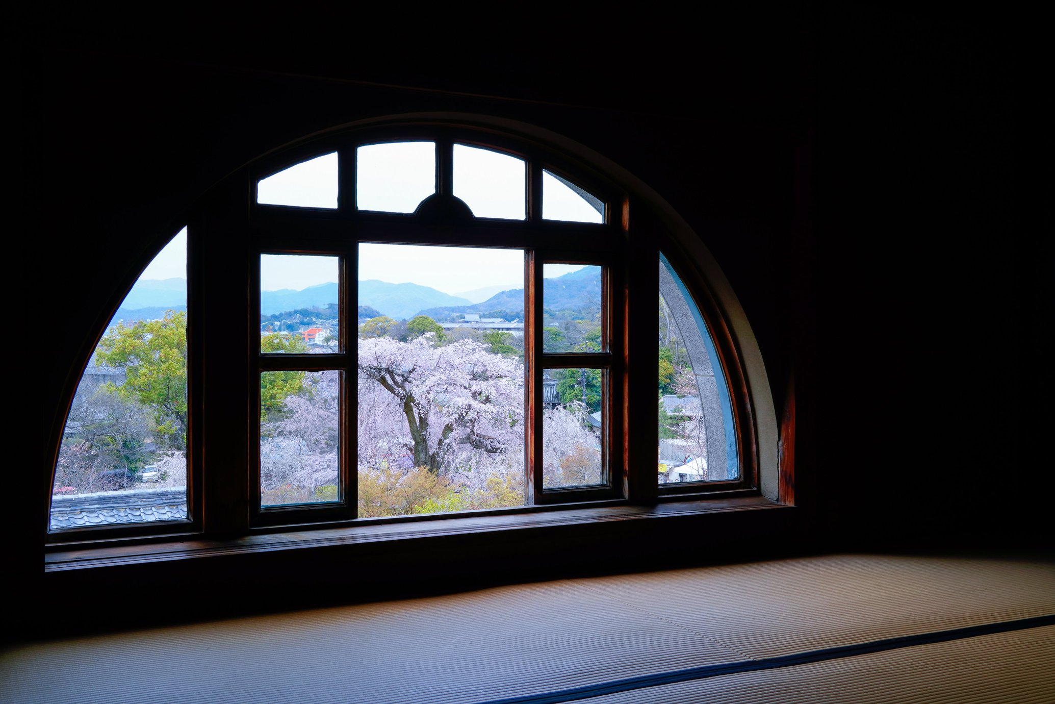 【2食付】＜春爛漫＞春の京都　夜桜プラン（3/25〜4/5限定）