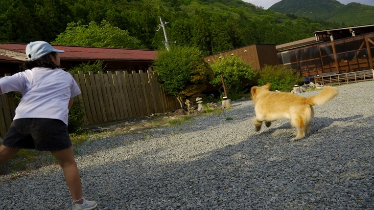 【訳あり通常より5000円オフ】【犬同室OK】【素泊まり】食材持込みBBQ！サウナやプロジェクター付