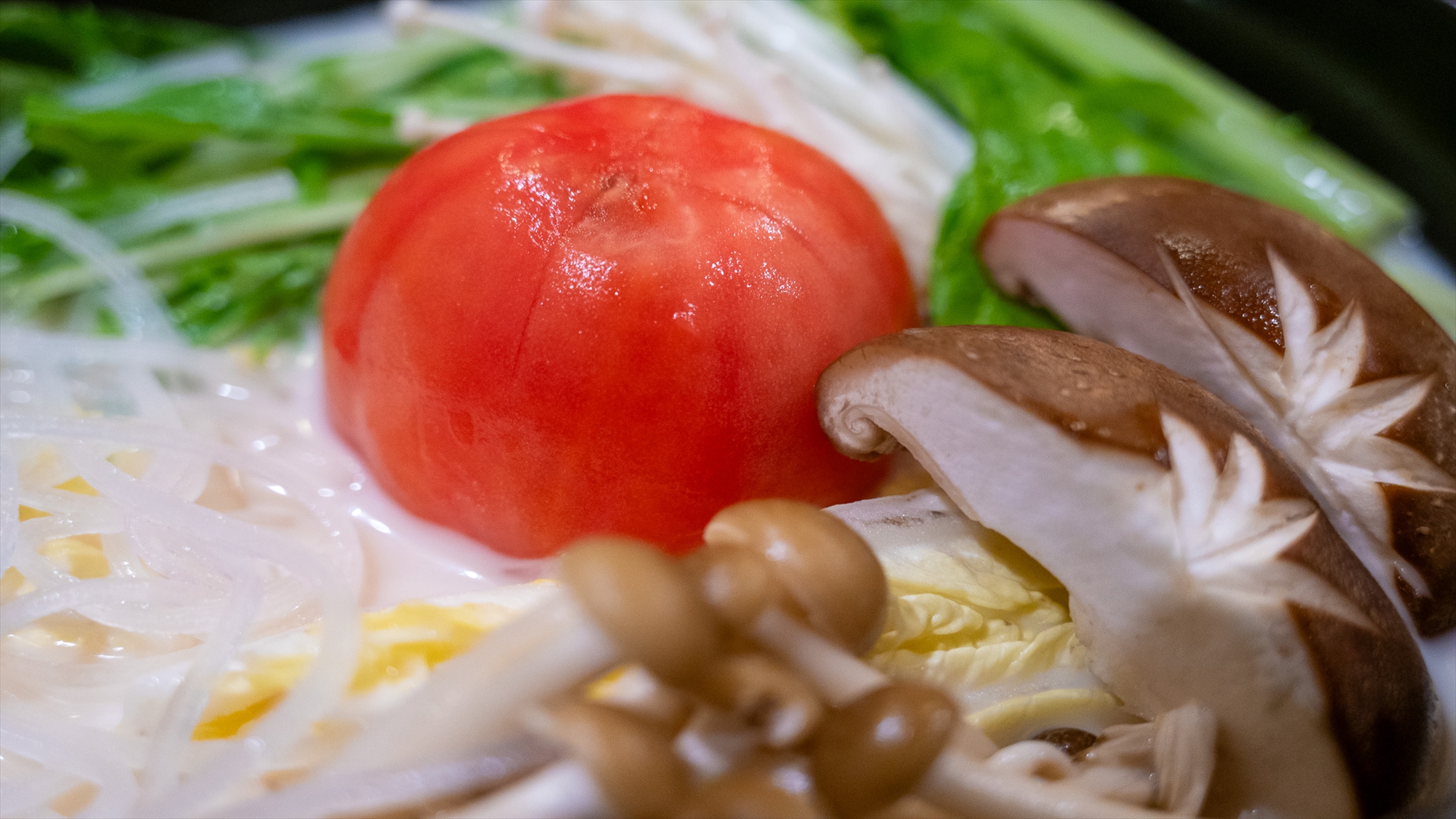 親鶏の豆乳トマト鍋