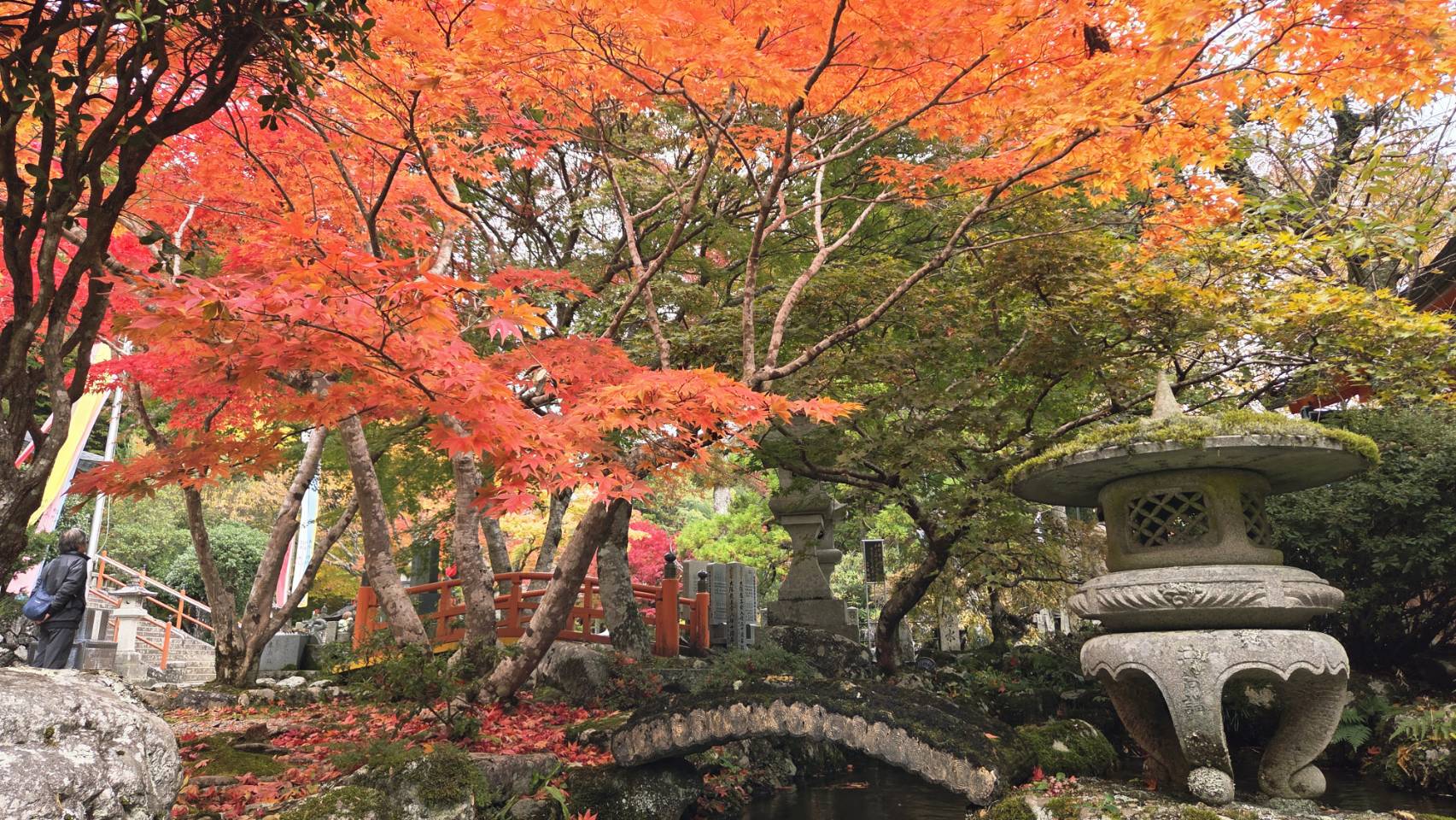 龍泉寺紅葉2025.11.4