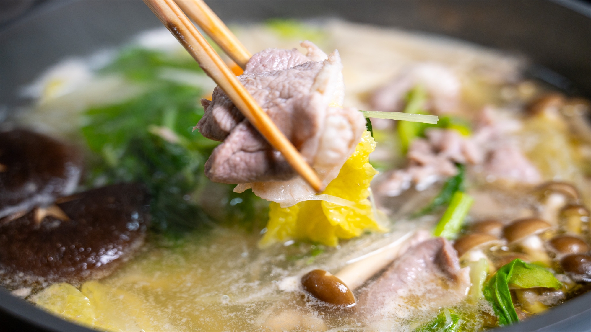 鴨＆親鶏の鶏塩鍋