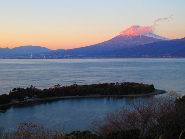 【 地物の豪華舟盛プラン】大瀬岬、富士山眺望。新鮮な海の幸を満喫。