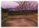 お食事スタンダード＋地物の伊勢エビ付舟盛プラン！富士山、駿河湾一望。【アッパレしず旅】