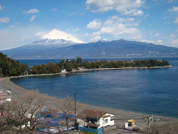 サンライズ あねっくす 宿泊予約 楽天トラベル