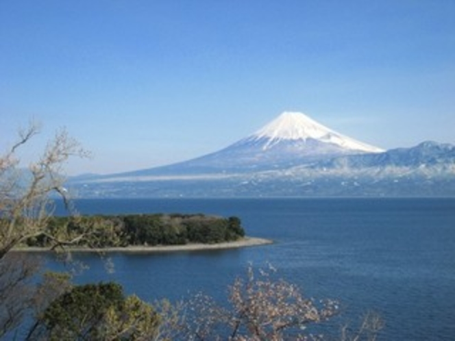 冬の大瀬岬と富士山