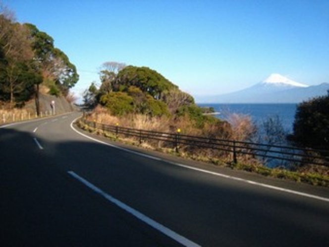 富士山も眺められる大瀬の絶景ライン
