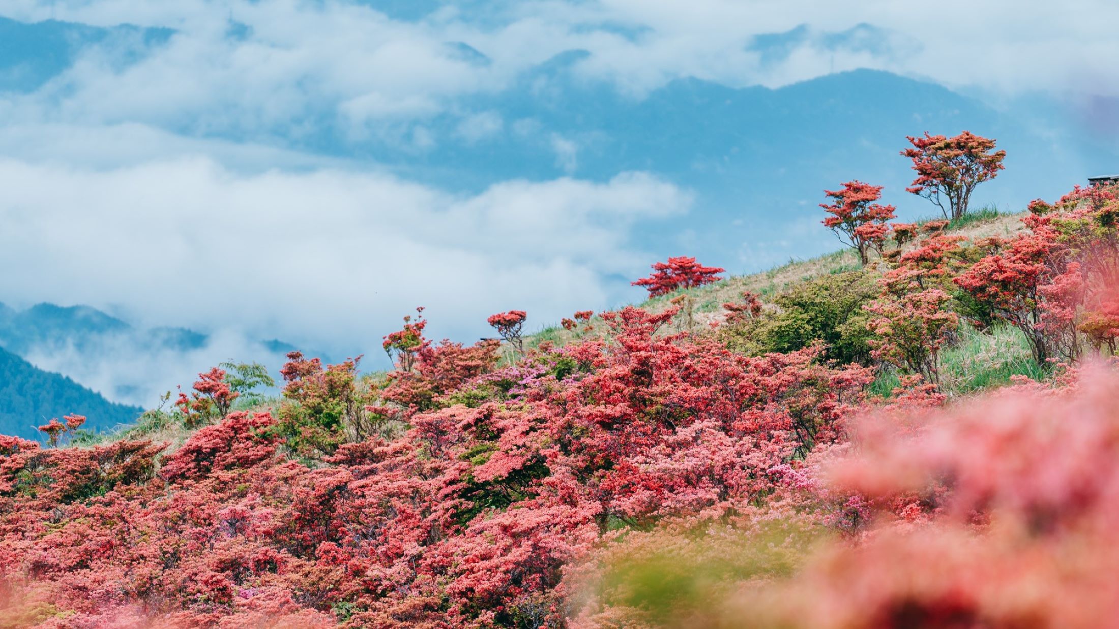 葛城山