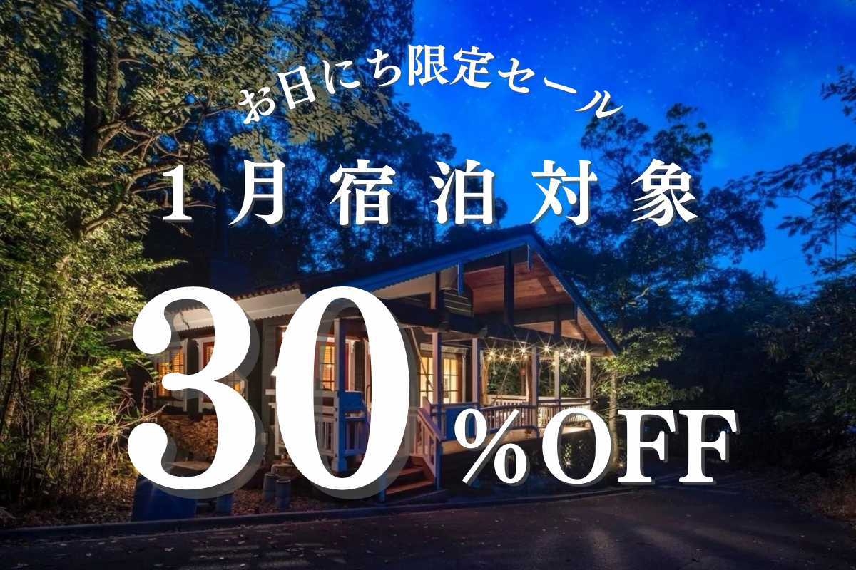 冬のお得旅★30％OFF【1月限定】