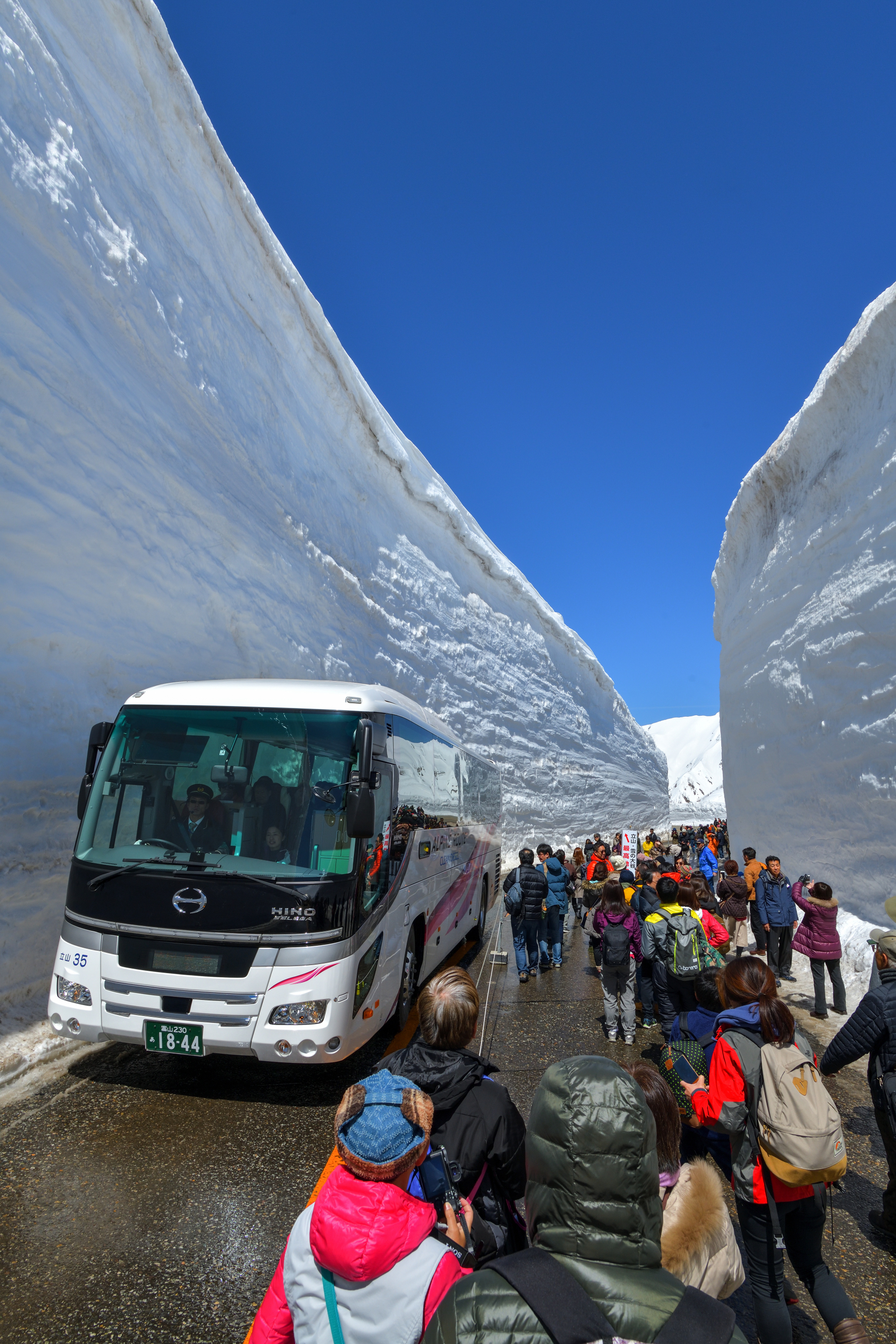 雪の大谷