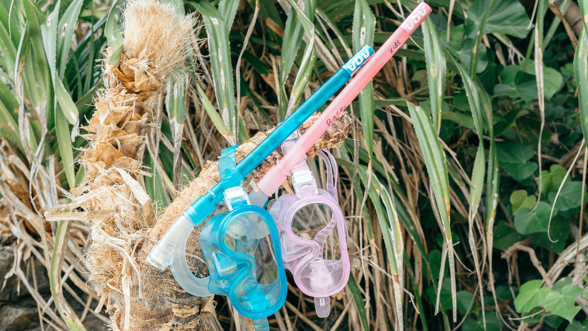 ・【レンタル】お子様用サイズのシュノーケルをご用意しております