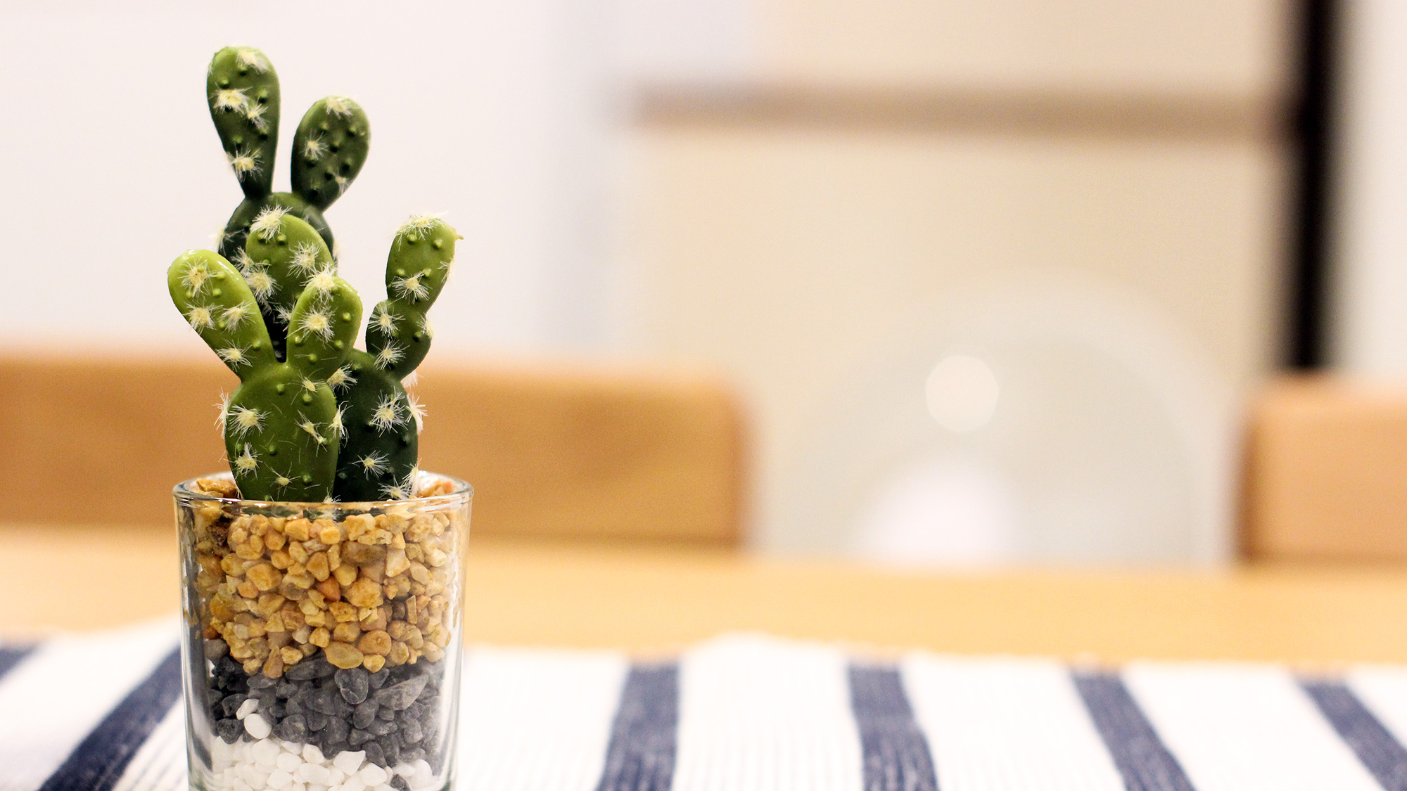 ・【サボテン】お部屋には観葉植物をいくつか置いており、癒される空間となっております