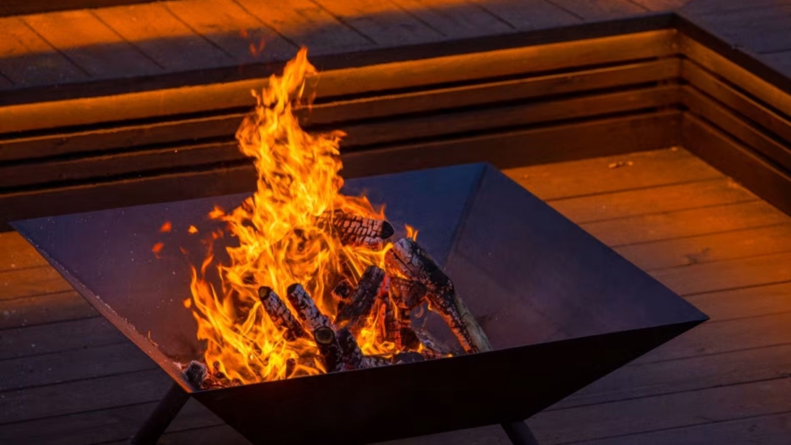 【愛犬3大特典プラン】本格愛犬ご飯・オーガニックおやつ・ペット同伴無料で愛犬との旅を大満喫（2食付）