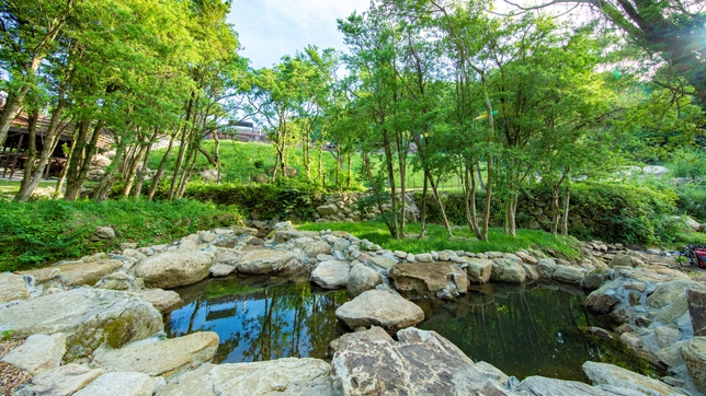 夏休み限定プラン、釣り堀、昆虫採集、かき氷食べ放題、お子様大喜び！！最高の思い出プラン！