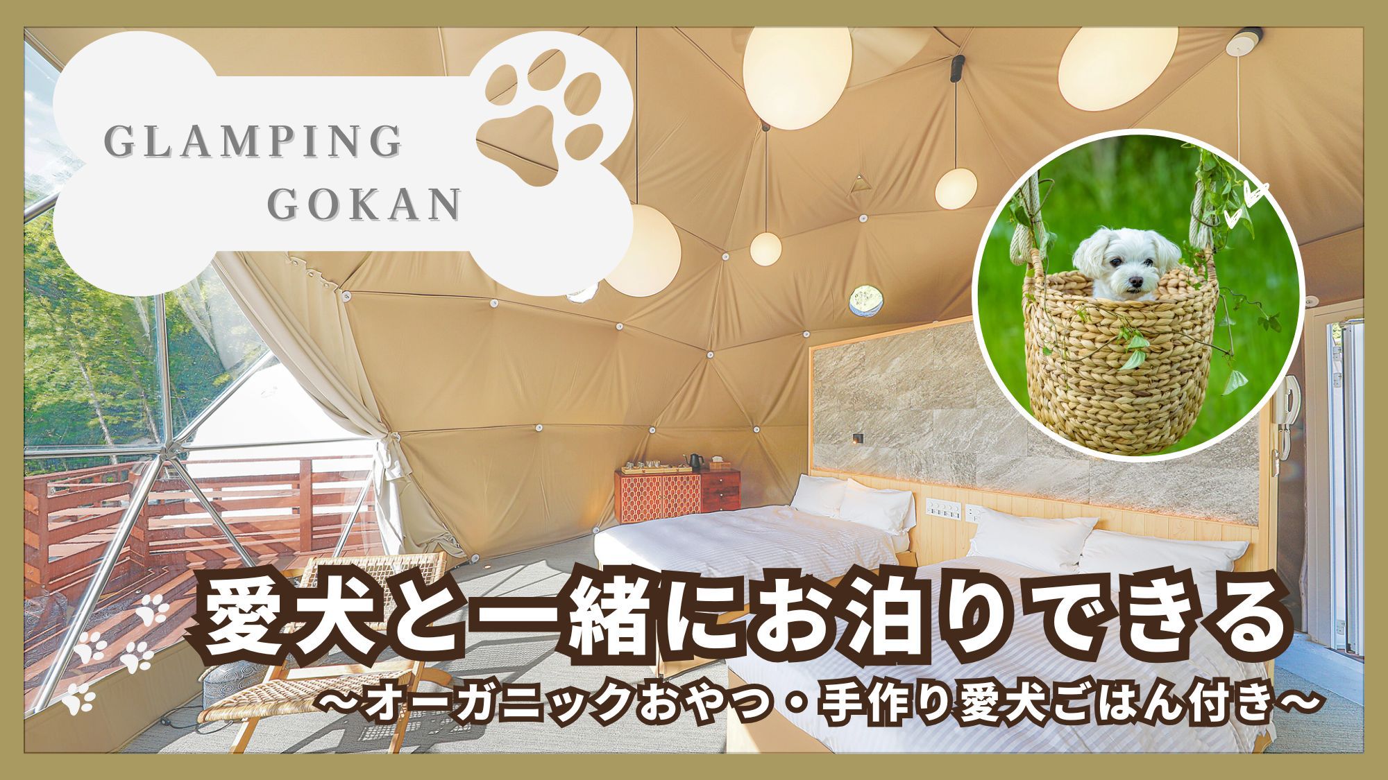 【愛犬と一緒にお泊りできる♪】《五感オリジナルオーガニックおやつ・手作り愛犬ごはん付き》