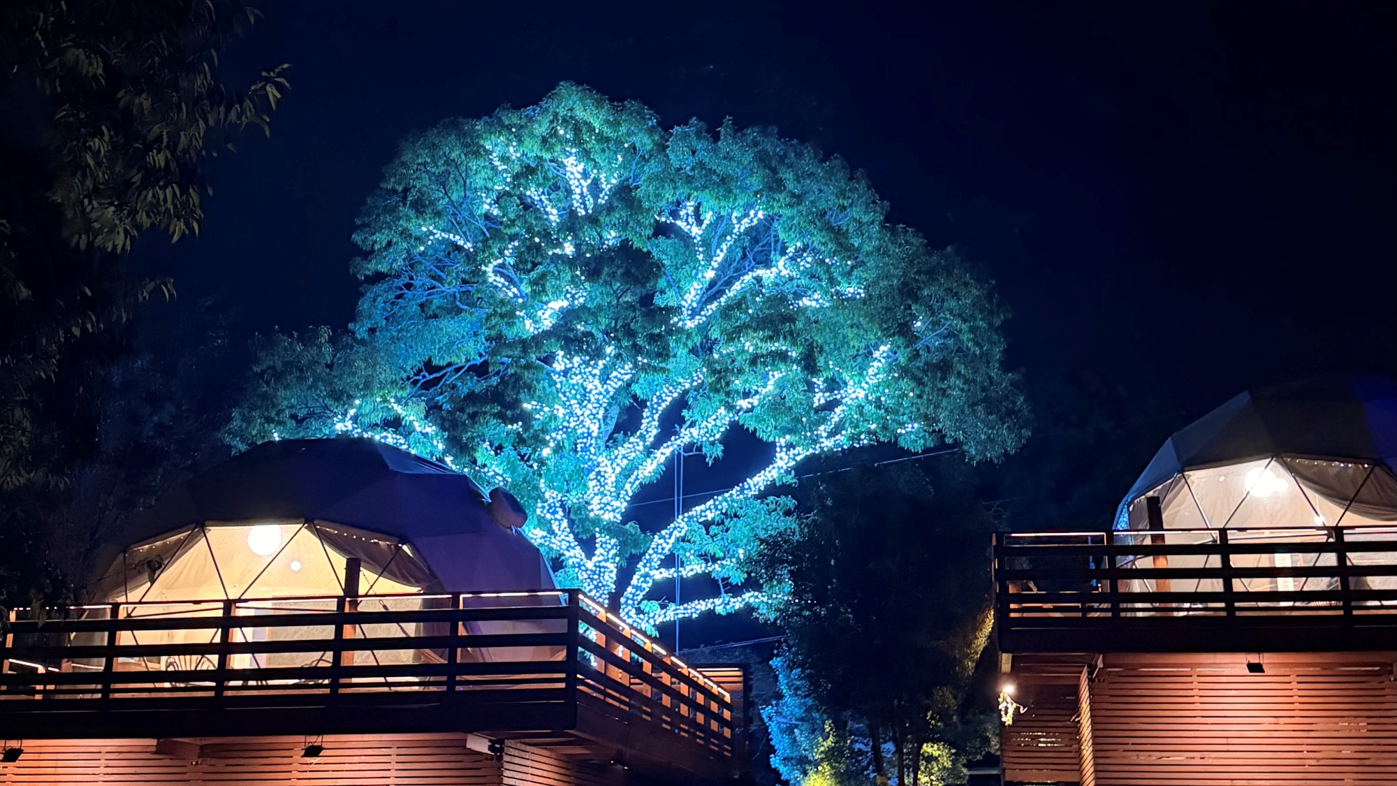 【クリスマスイルミネーション】2万球が彩る光の宿泊体験