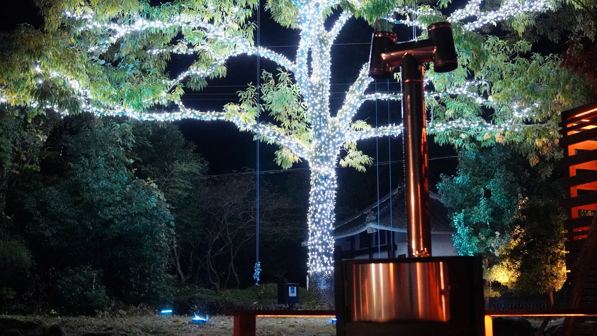 【クリスマスイルミネーション】2万球の輝きと非日常の記憶