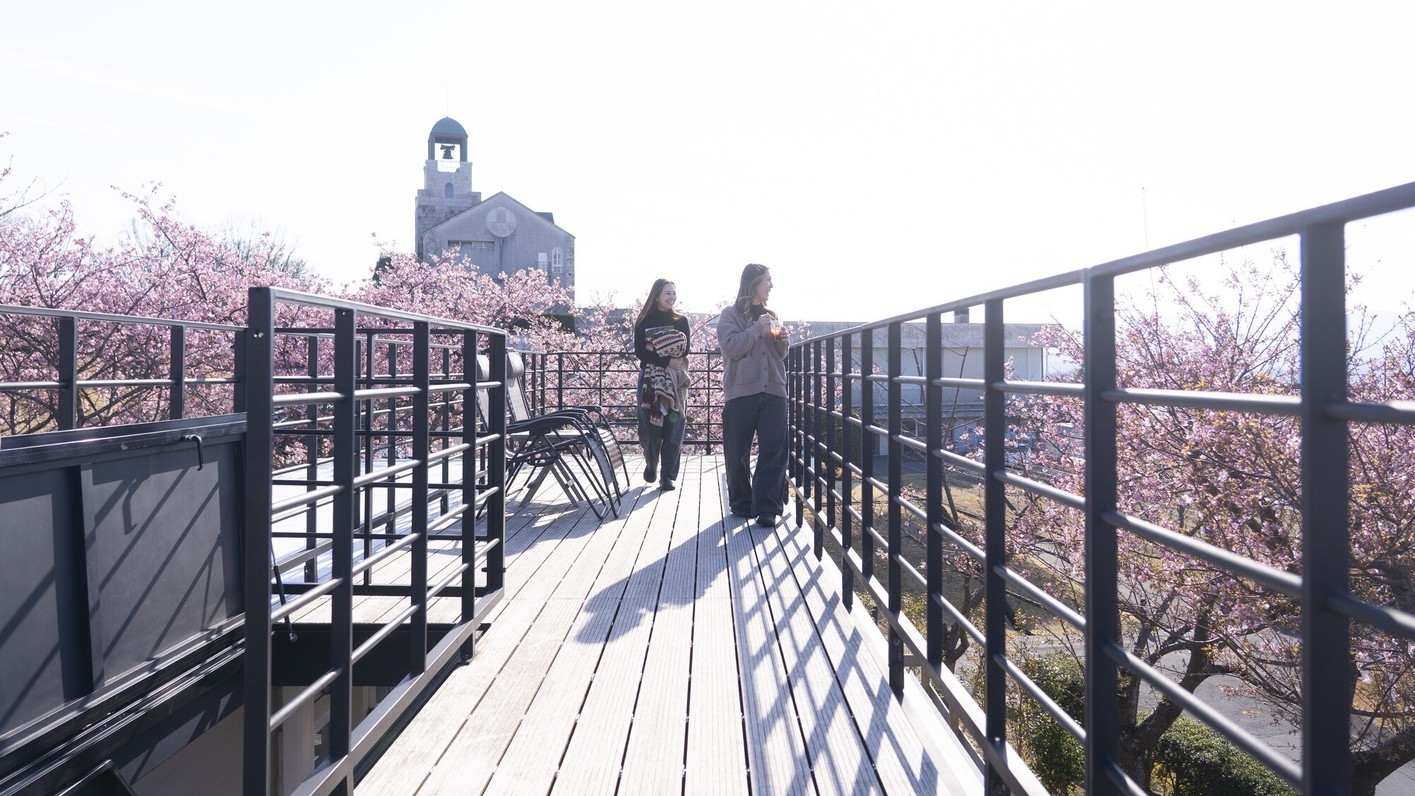 【2月・3月限定】河津桜に囲まれて心温まる１日を（ワイナリーBBQ）