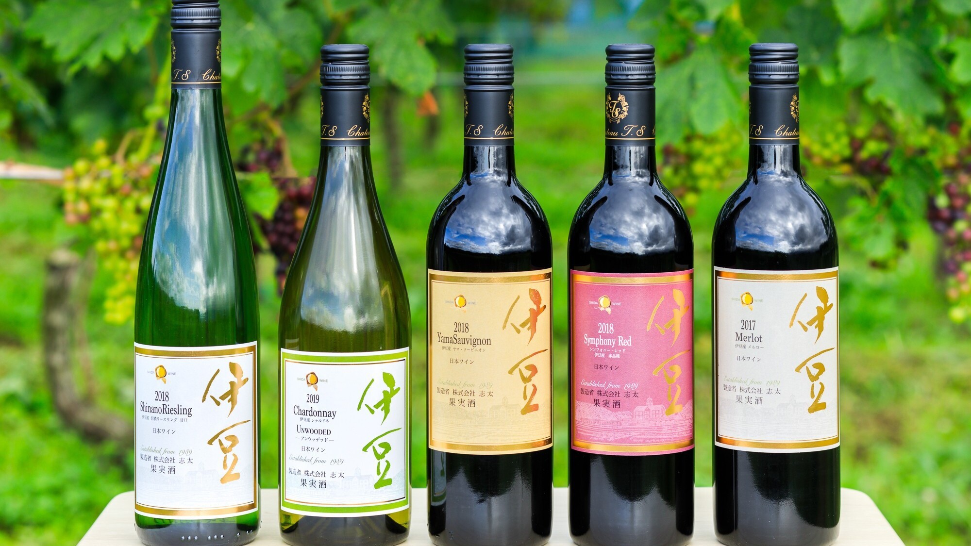【飲み放題メニューグレードアップ】伊豆ワイン飲み放題プラン(ワイナリーBBQ)