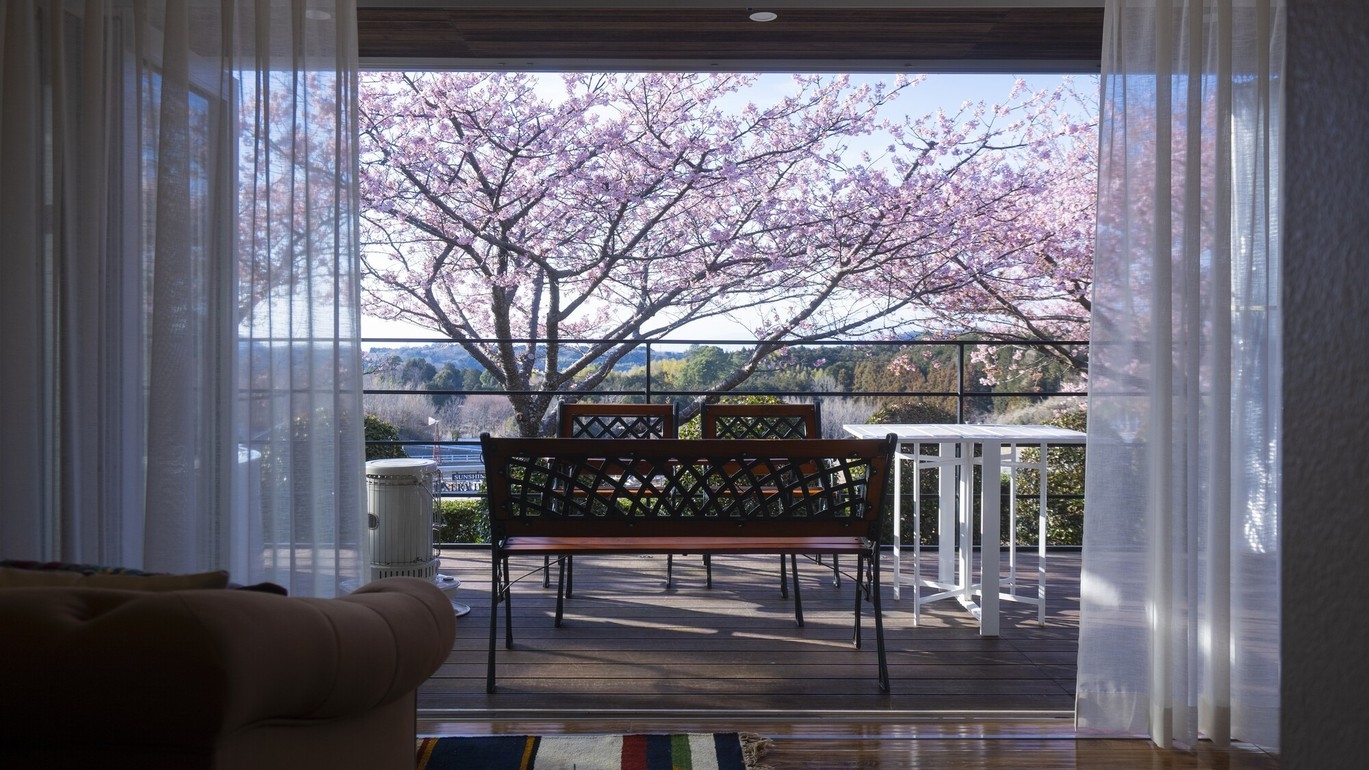 【2月・3月限定】河津桜に囲まれて心温まる１日を（ワイナリーBBQ）