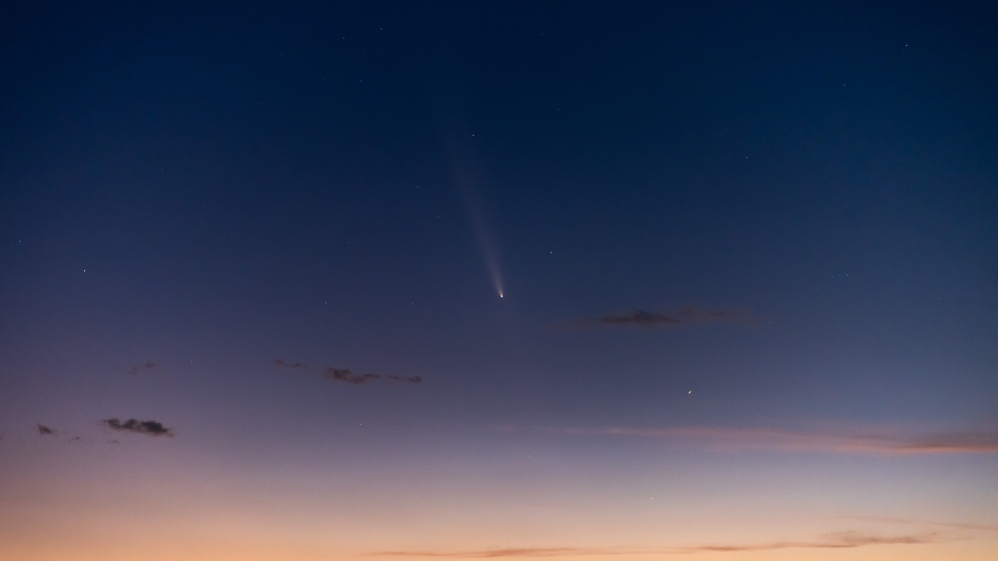 紫金山・アトラス彗星