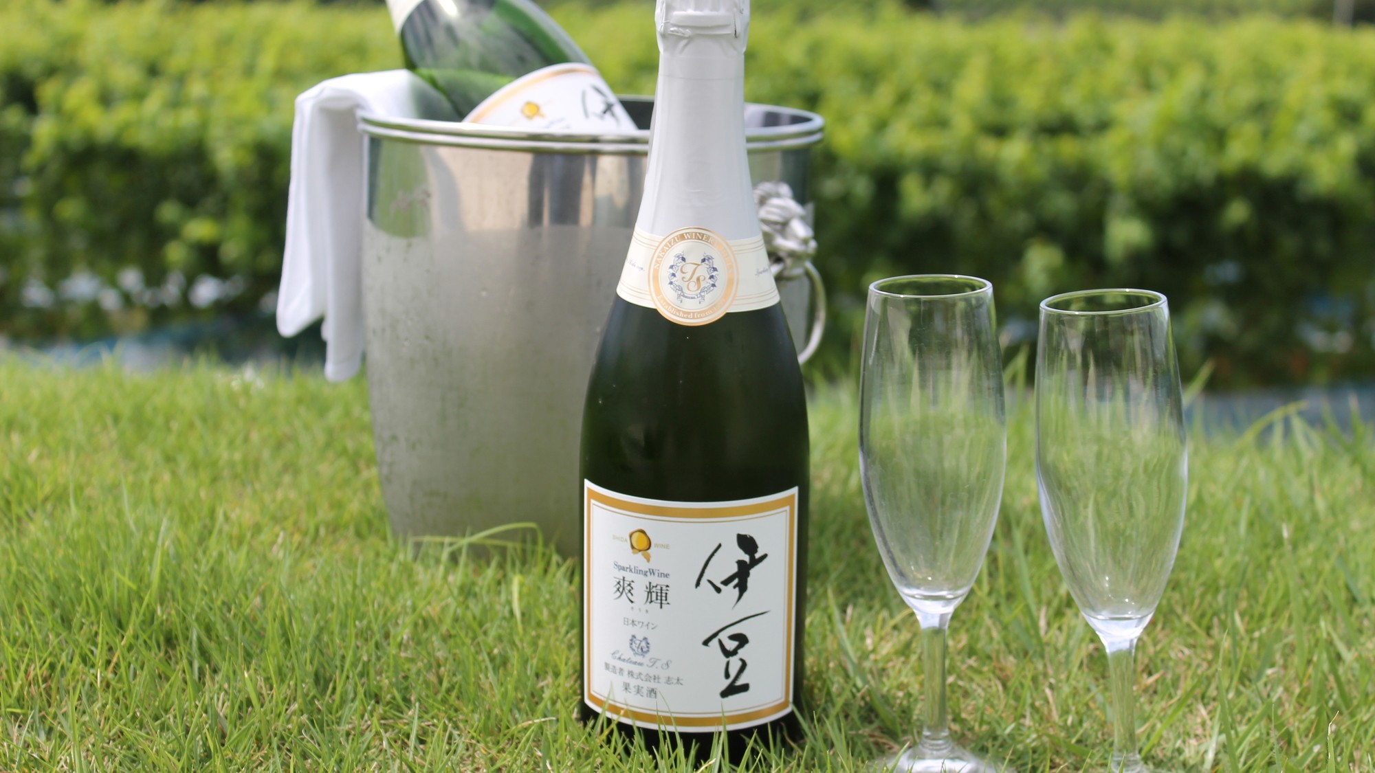 伊豆爽輝