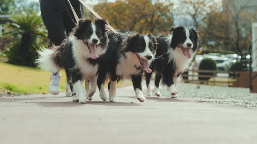 愛犬滞在一例